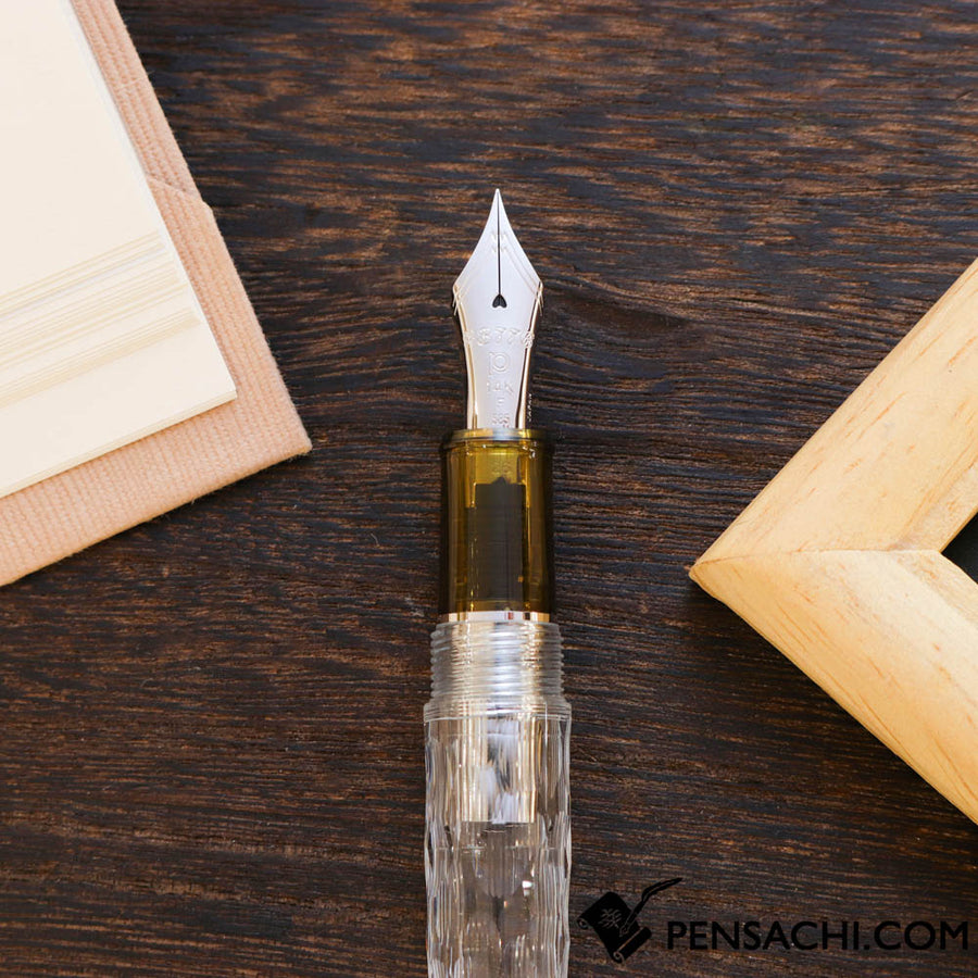 PLATINUM Limited Edition #3776 Century Fountain Pen - Unkai