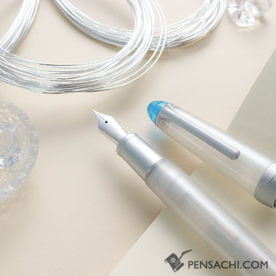 Large Ink Pen SAILOR Limited Edition 1911 Large Fountain Pen - Frosty Winter– PenSachi