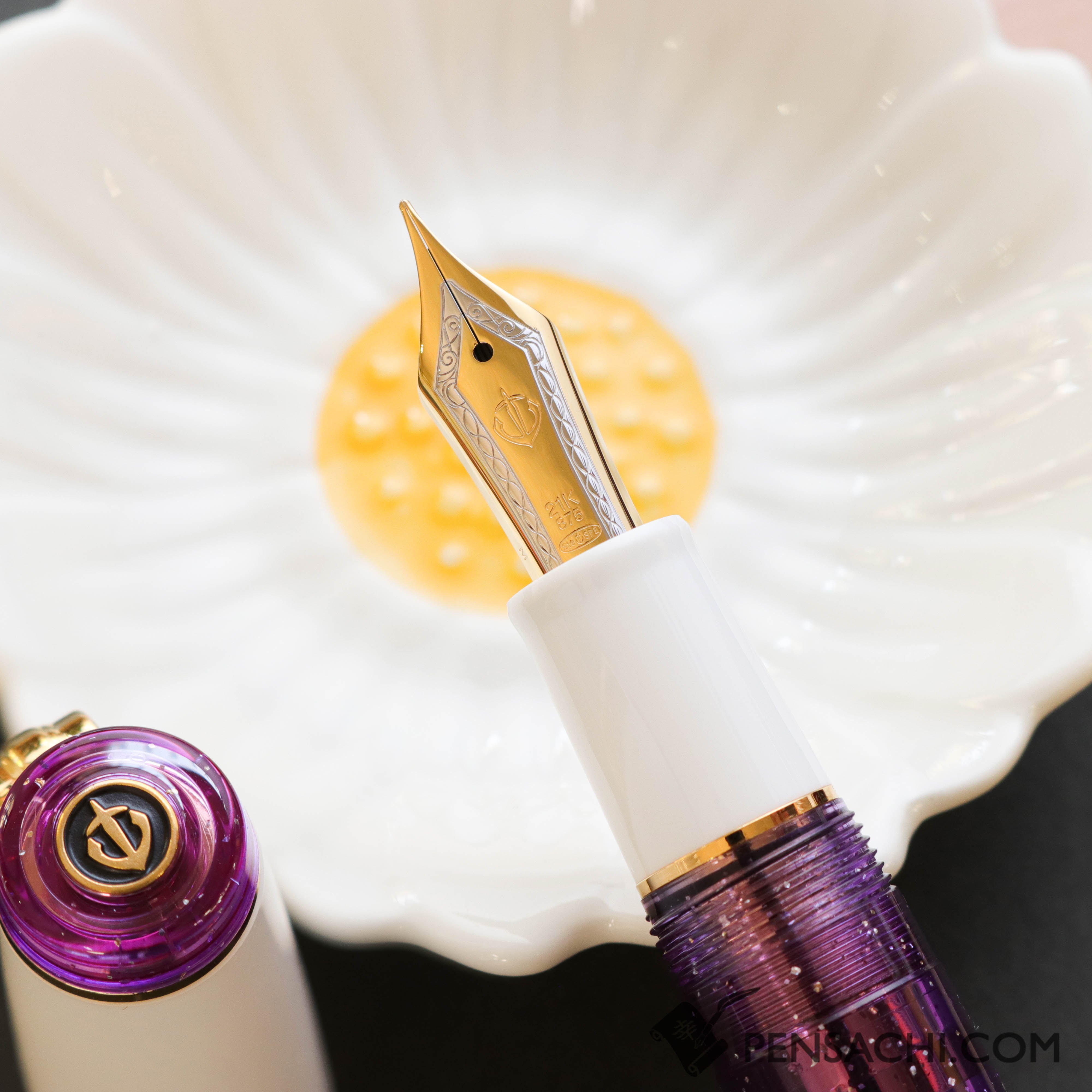 SAILOR Limited Edition Pro Gear Classic Demonstrator Fountain Pen
