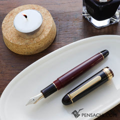 PLATINUM #3776 Limited Edition Fountain Pen - Coffee Jelly - PenSachi Japanese Limited Fountain Pen