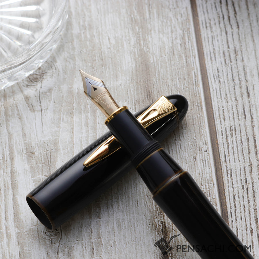PLATINUM Izumo Tamenuri Fountain Pen - Biwatame - PenSachi Japanese Limited Fountain Pen