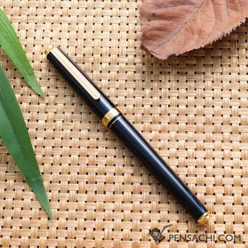 PLATINUM Biso Fountain Pen - Nebula Black - PenSachi Japanese Limited Fountain Pen