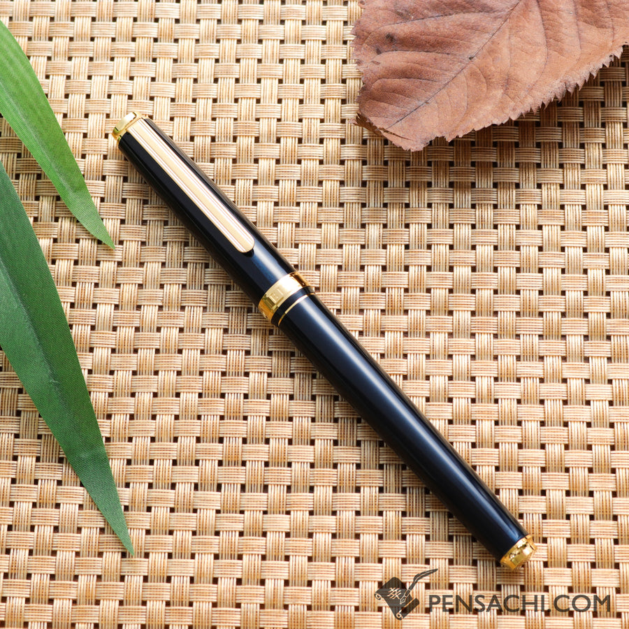 PLATINUM Biso Fountain Pen - Nebula Black - PenSachi Japanese Limited Fountain Pen