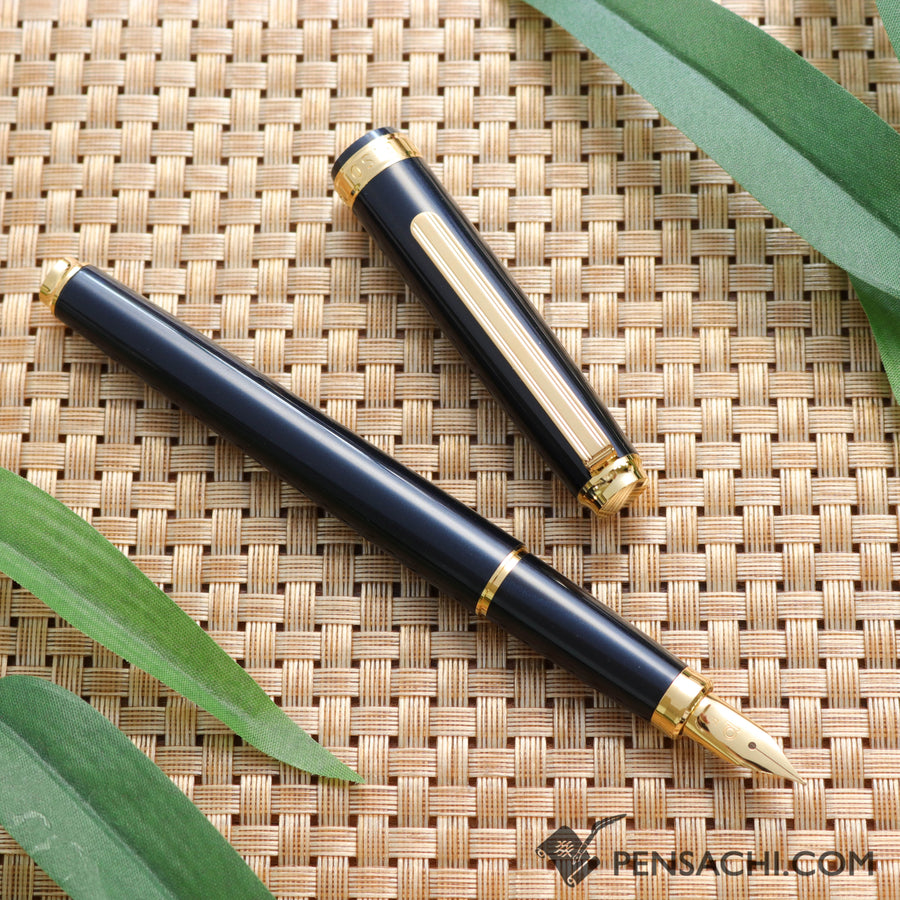 PLATINUM Biso Fountain Pen - Nebula Black - PenSachi Japanese Limited Fountain Pen