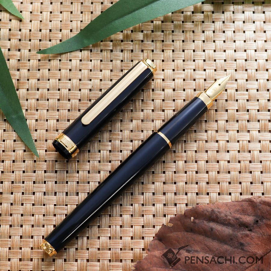 PLATINUM Biso Fountain Pen - Nebula Black - PenSachi Japanese Limited Fountain Pen