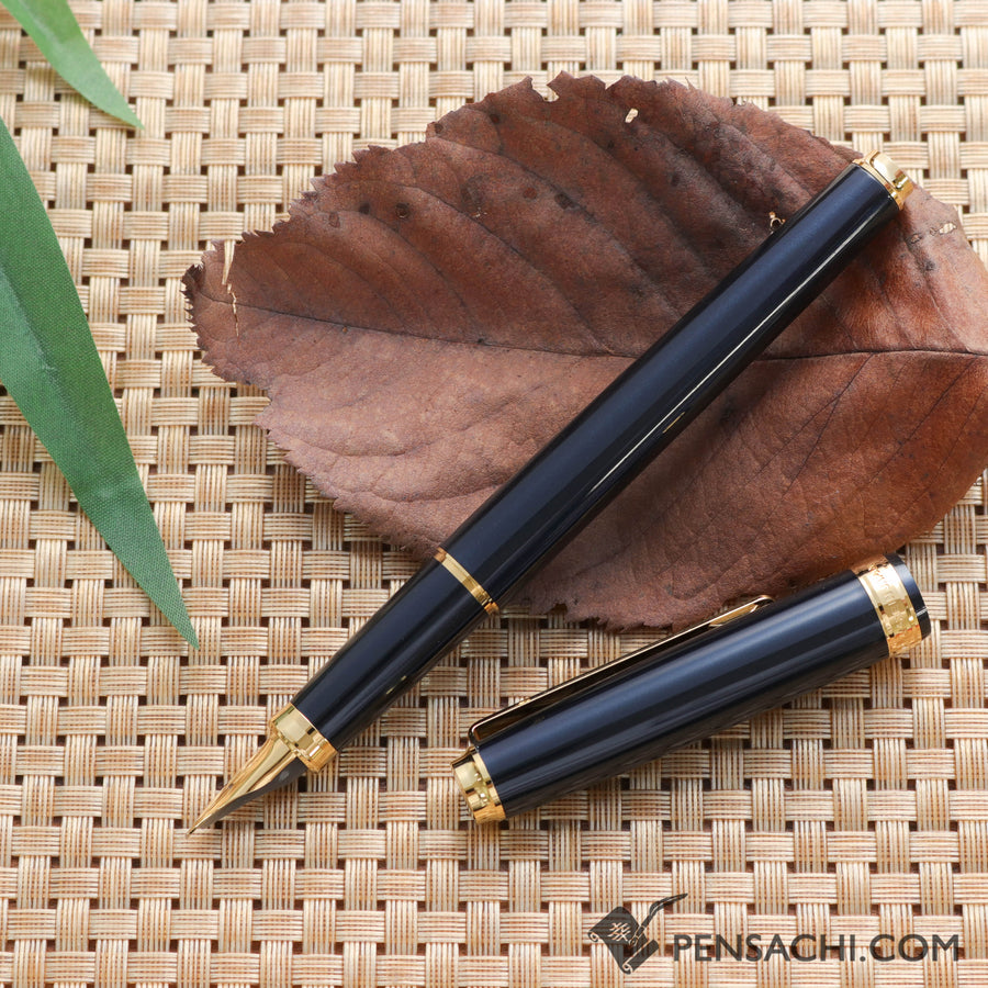 PLATINUM Biso Fountain Pen - Nebula Black - PenSachi Japanese Limited Fountain Pen