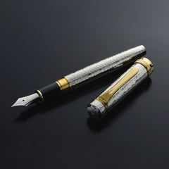 PLATINUM Solid Silver Junichi Iwamura Fountain Pen - Tankin Migaki - PenSachi Japanese Limited Fountain Pen