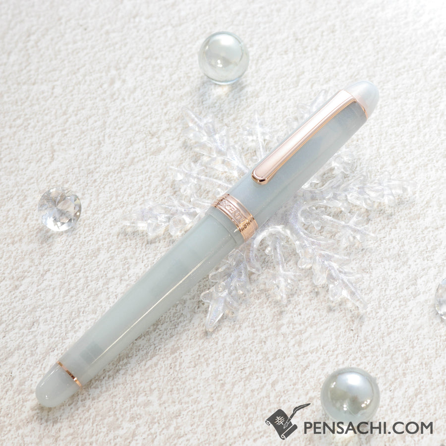 PLATINUM Limited Edition #3776 Century Fountain Pen - Suruga Bay Spring