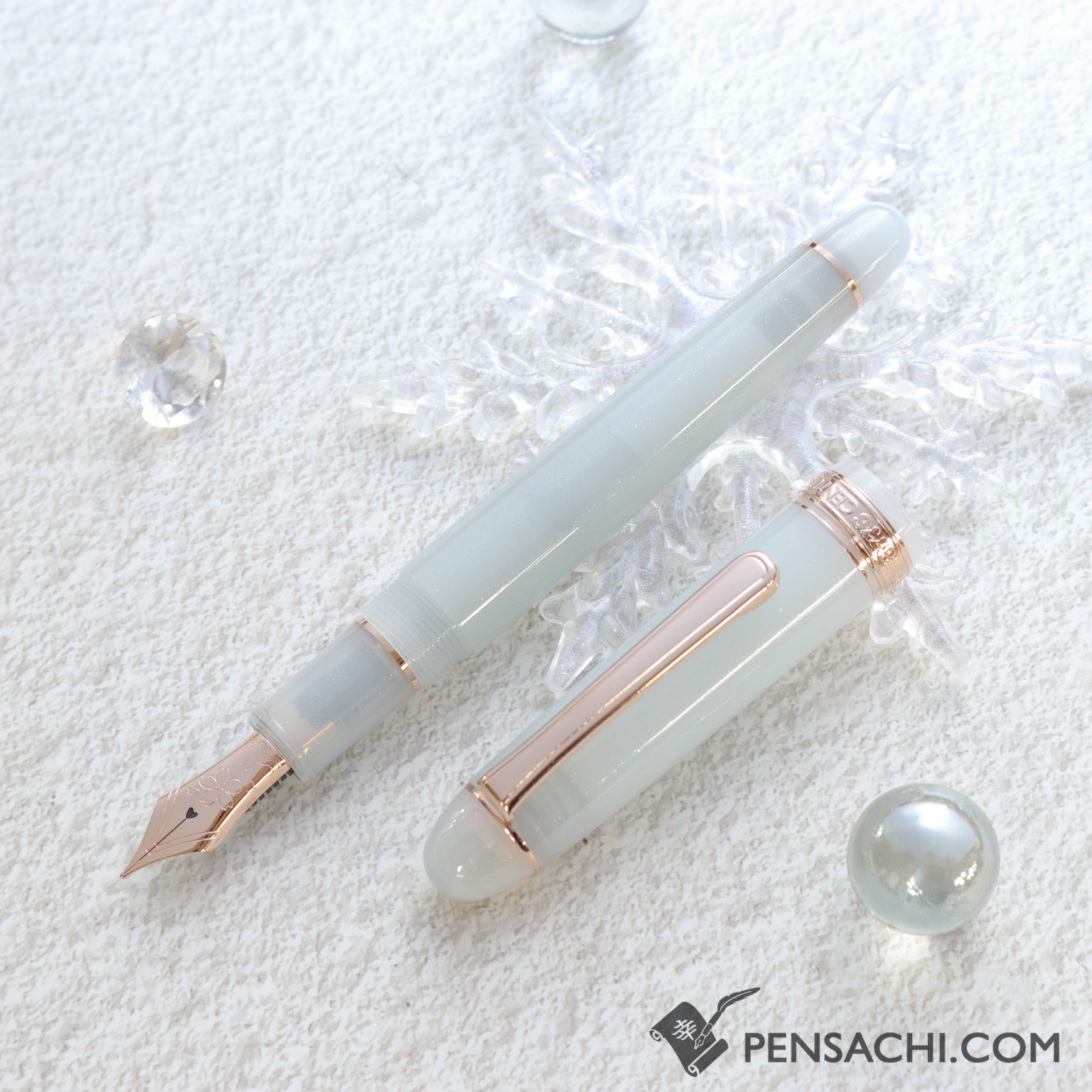 PLATINUM Limited Edition #3776 Century Fountain Pen - Suruga Bay
