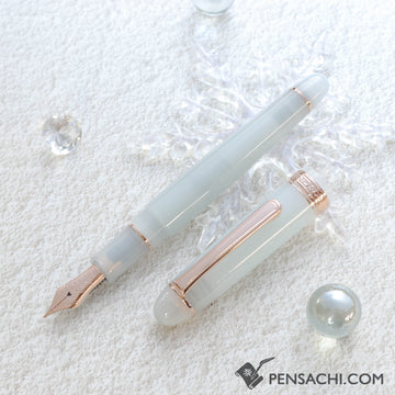 PLATINUM Limited Edition #3776 Century Fountain Pen - Suruga Bay Spring
