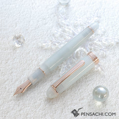 PLATINUM Limited Edition #3776 Century Fountain Pen - Suruga Bay Spring - PenSachi Japanese Limited Fountain Pen
