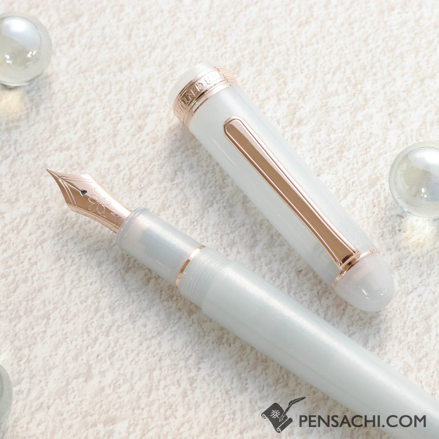 PLATINUM Limited Edition #3776 Century Fountain Pen - Suruga Bay Spring