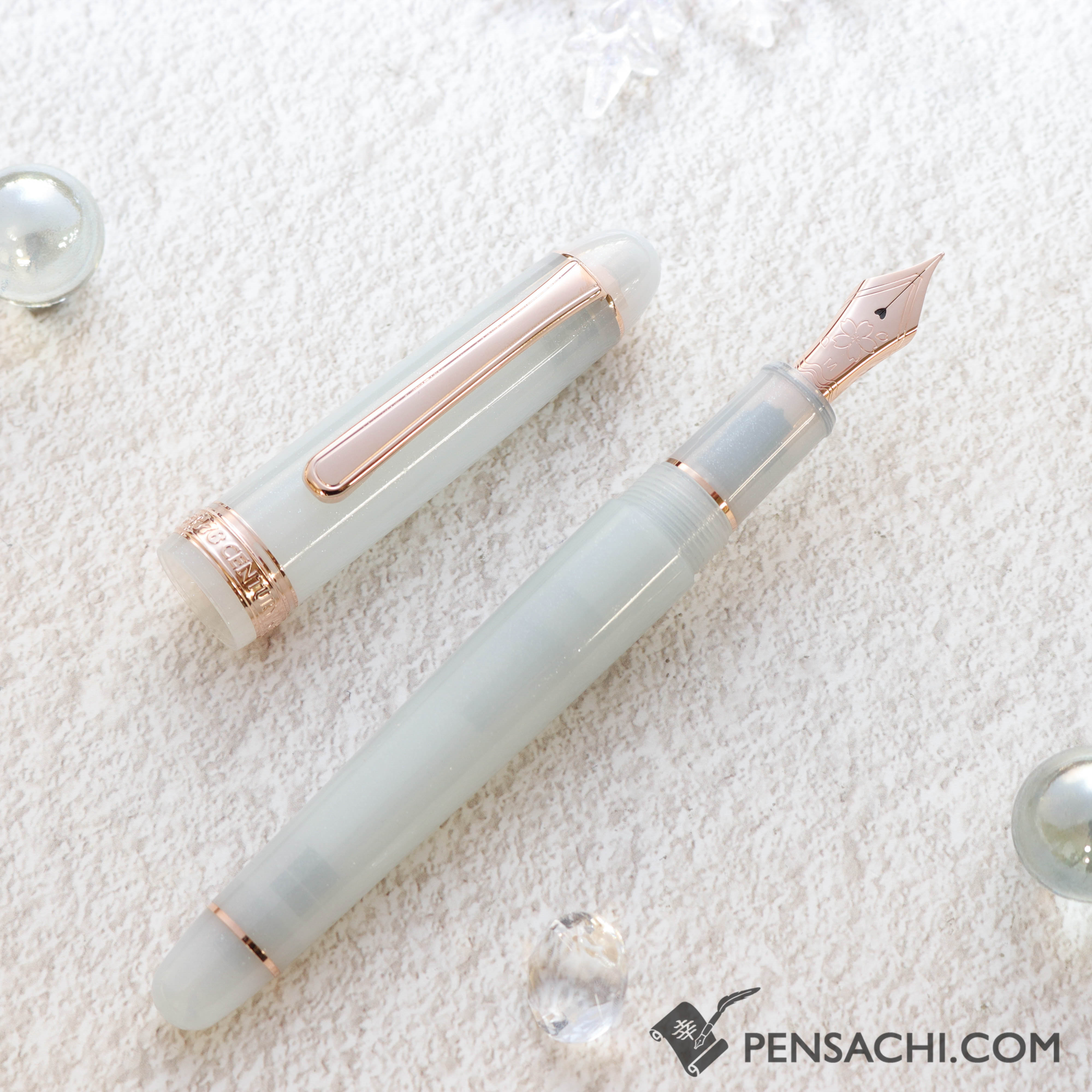 PLATINUM Limited Edition #3776 Century Fountain Pen - Suruga Bay