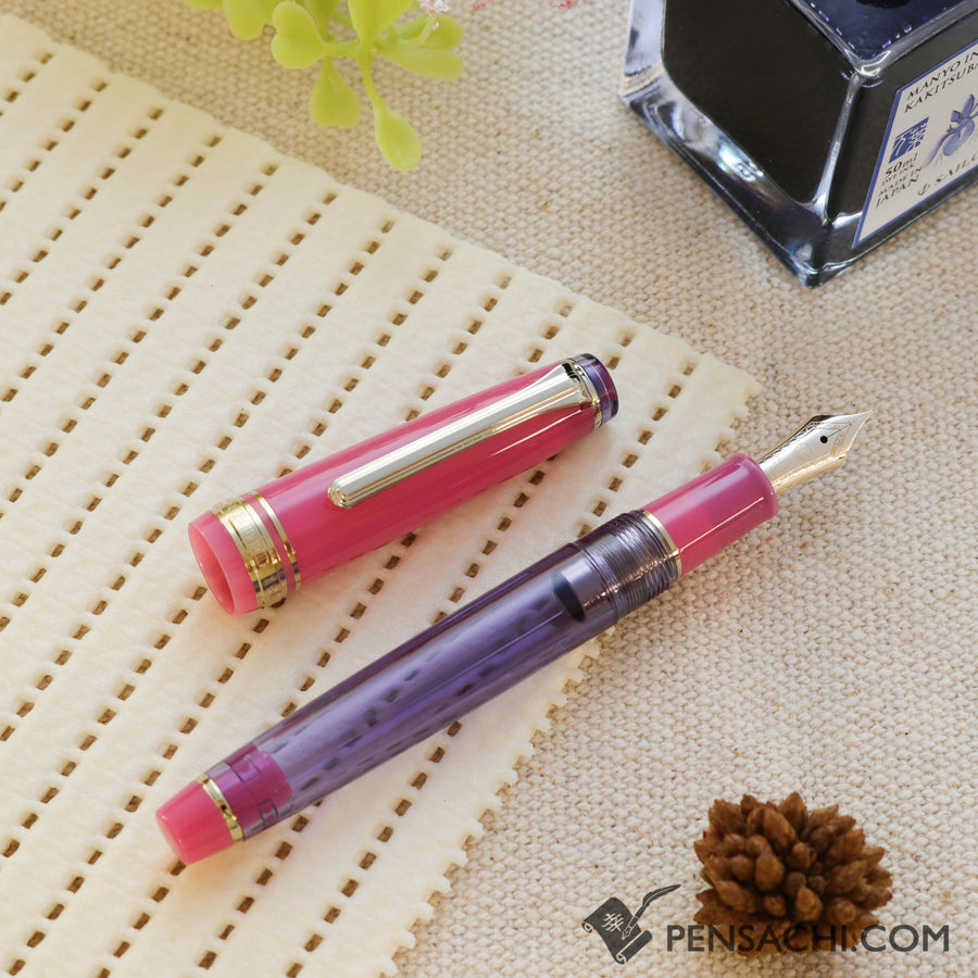 SAILOR Limited Edition Pro Gear Slim Manyo Fountain Pen Set - Rabbit Ear Iris - PenSachi Japanese Limited Fountain Pen