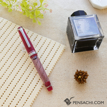SAILOR Limited Edition Pro Gear Slim Manyo Fountain Pen Set -  Wisteria - PenSachi Japanese Limited Fountain Pen