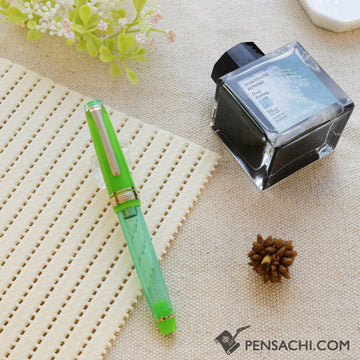 SAILOR Limited Edition Pro Gear Slim Manyo Fountain Pen Set - Grass - PenSachi Japanese Limited Fountain Pen