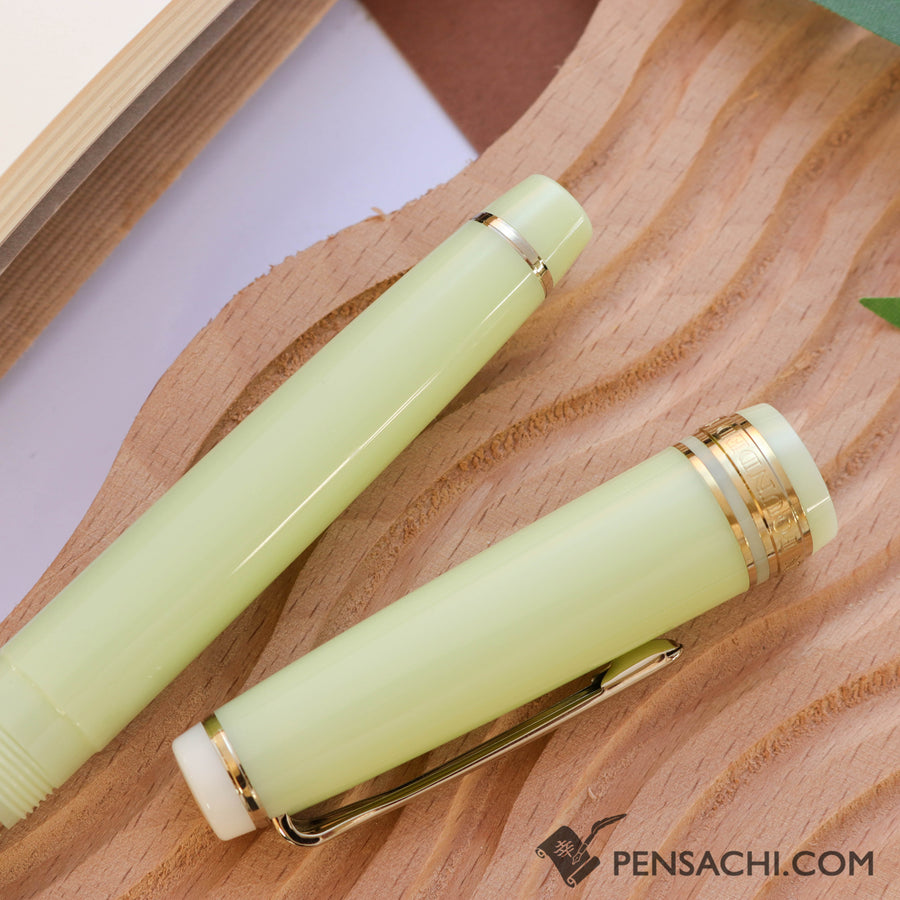 SAILOR Pro Gear Slim Shikiori Noyama No Uta Fountain Pen - Haru Tsuge Dori