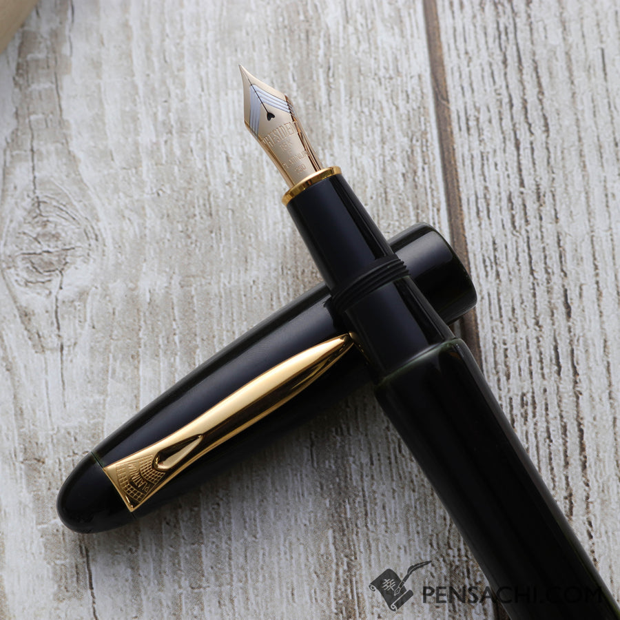 PLATINUM Izumo Tamenuri Fountain Pen - Soratame - PenSachi Japanese Limited Fountain Pen