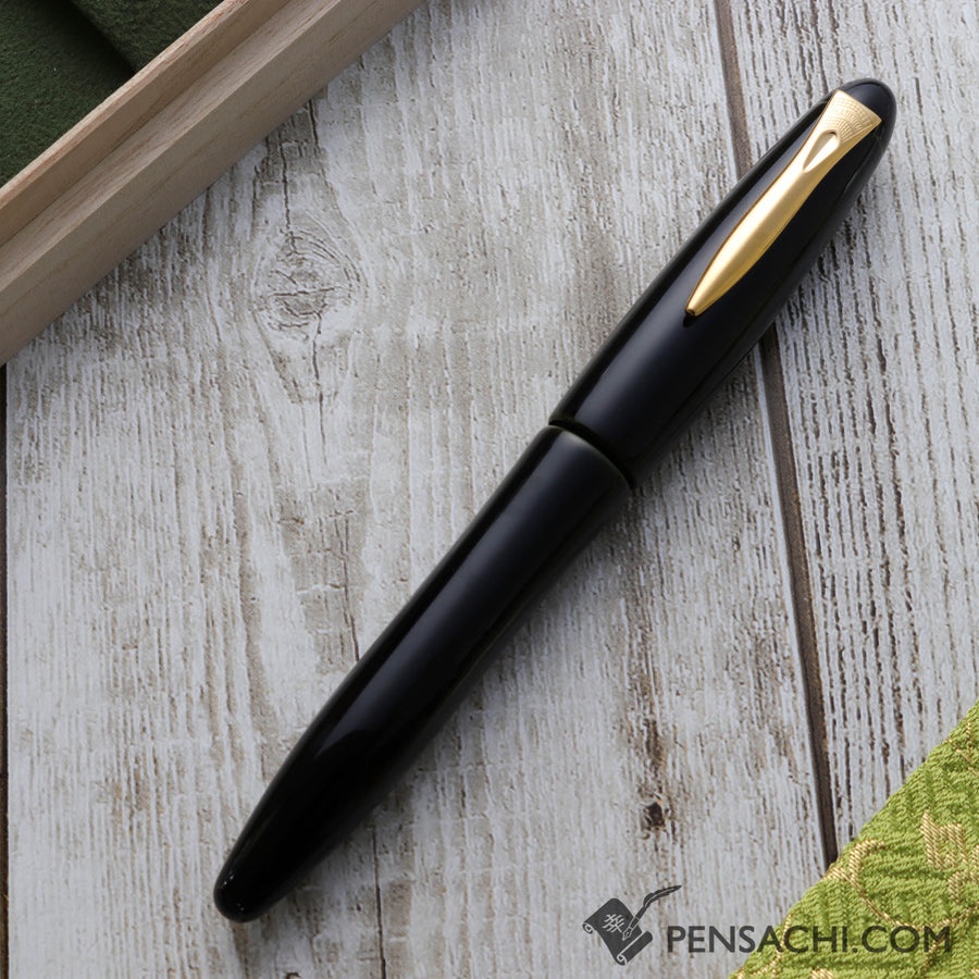 PLATINUM Izumo Tamenuri Fountain Pen - Soratame - PenSachi Japanese Limited Fountain Pen
