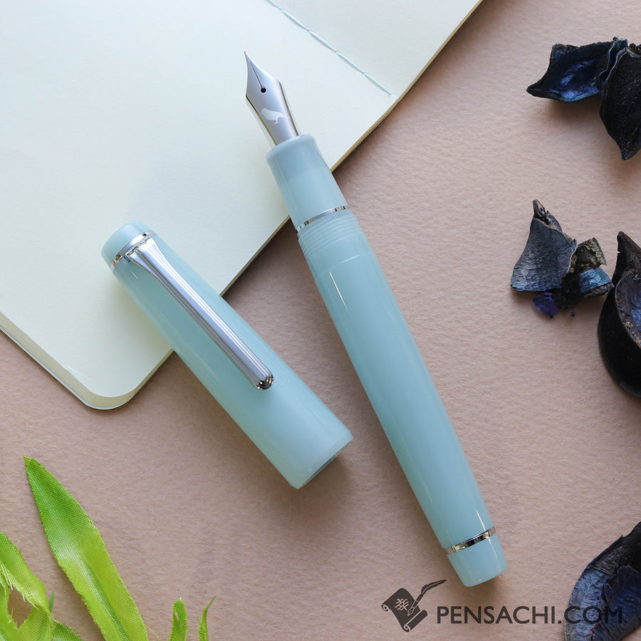 SAILOR Limited Edition Pro Gear Classic Fountain Pen - Hisoku - PenSachi Japanese Limited Fountain Pen