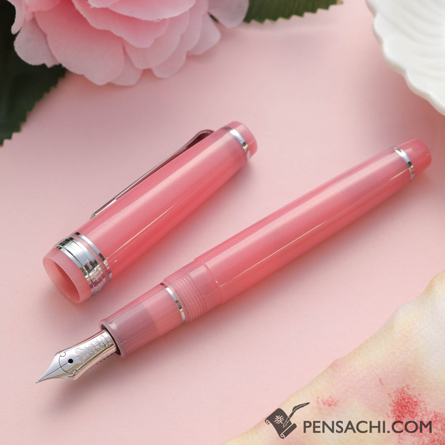 SAILOR Limited Edition Pro Gear Slim Onomatopoeia Fountain Pen -  Dokidoki