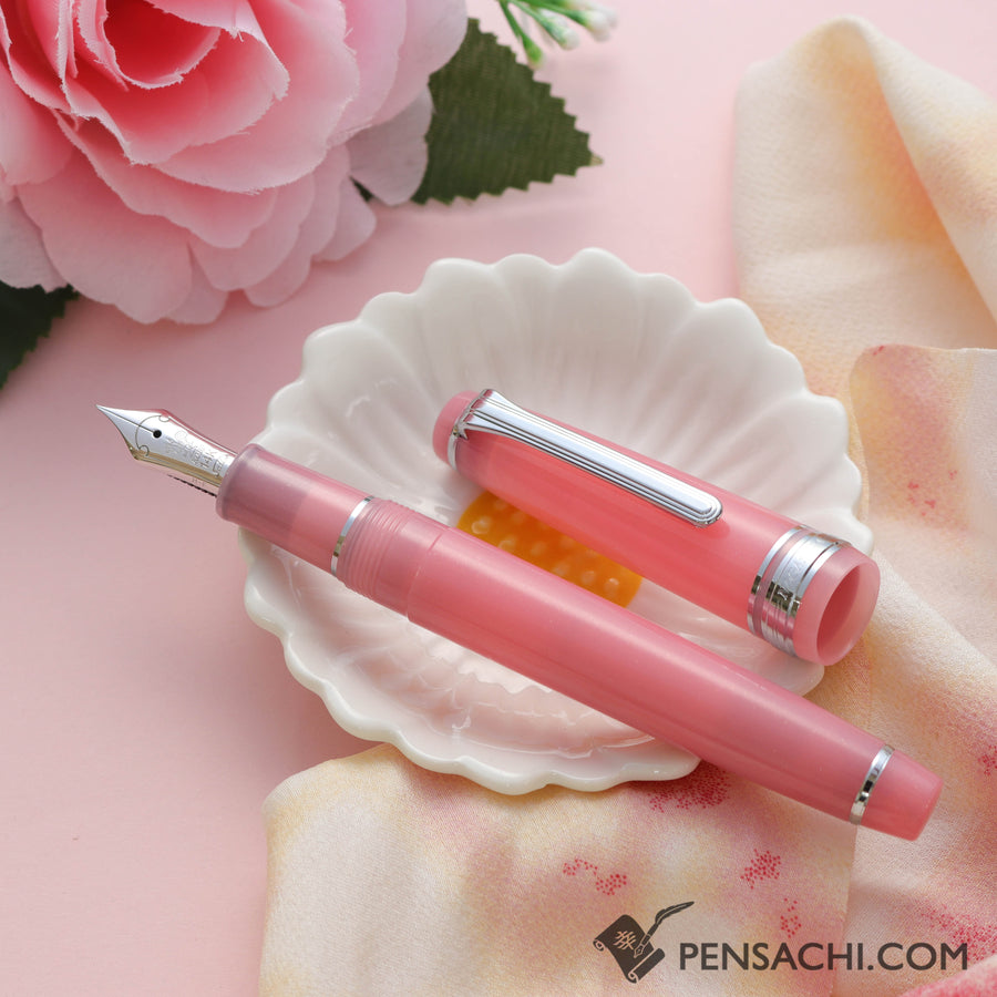 SAILOR Limited Edition Pro Gear Slim Onomatopoeia Fountain Pen -  Dokidoki