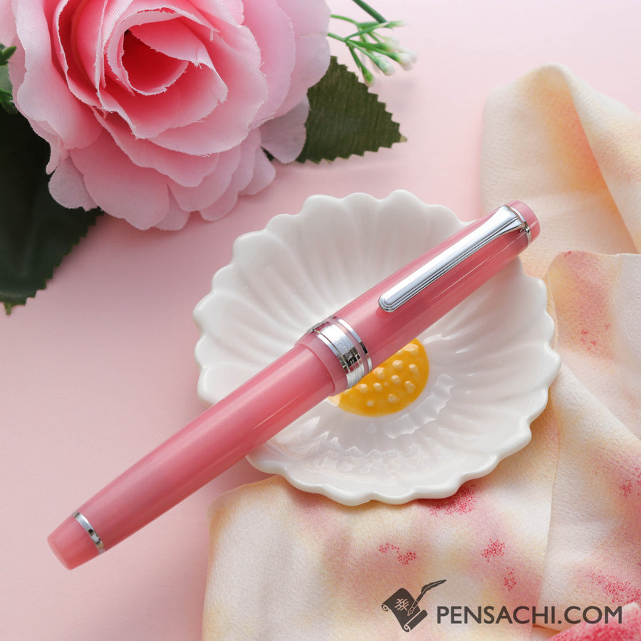 SAILOR Limited Edition Pro Gear Slim Onomatopoeia Fountain Pen -  Dokidoki