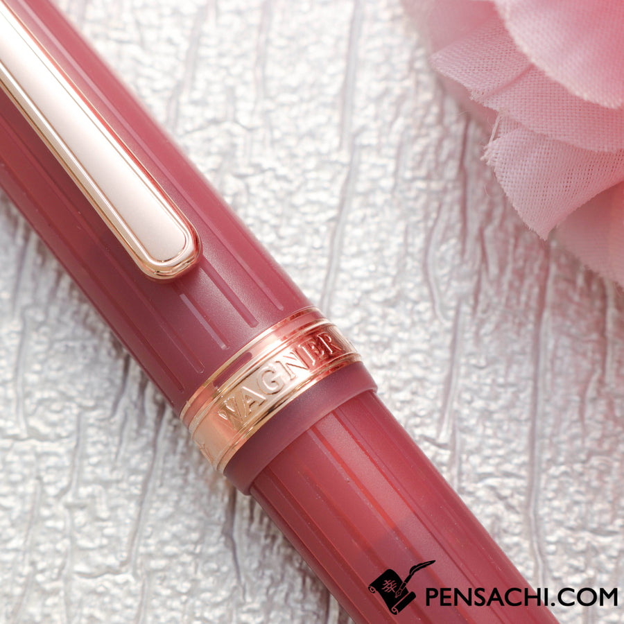 PLATINUM Limited Edition #3776 Century Nice Fountain Pen - Antique