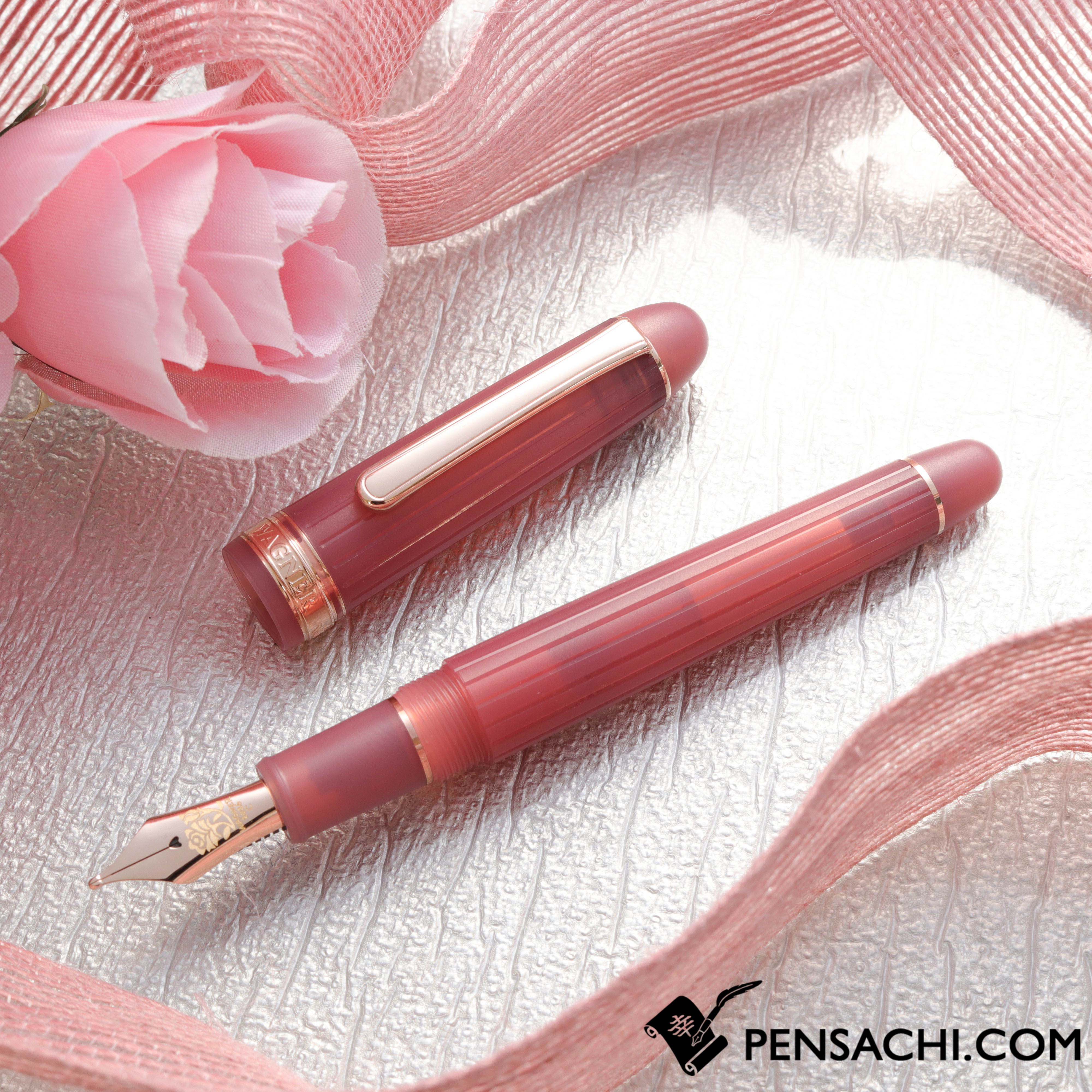 PLATINUM Limited Edition #3776 Century Nice Fountain Pen - Antique