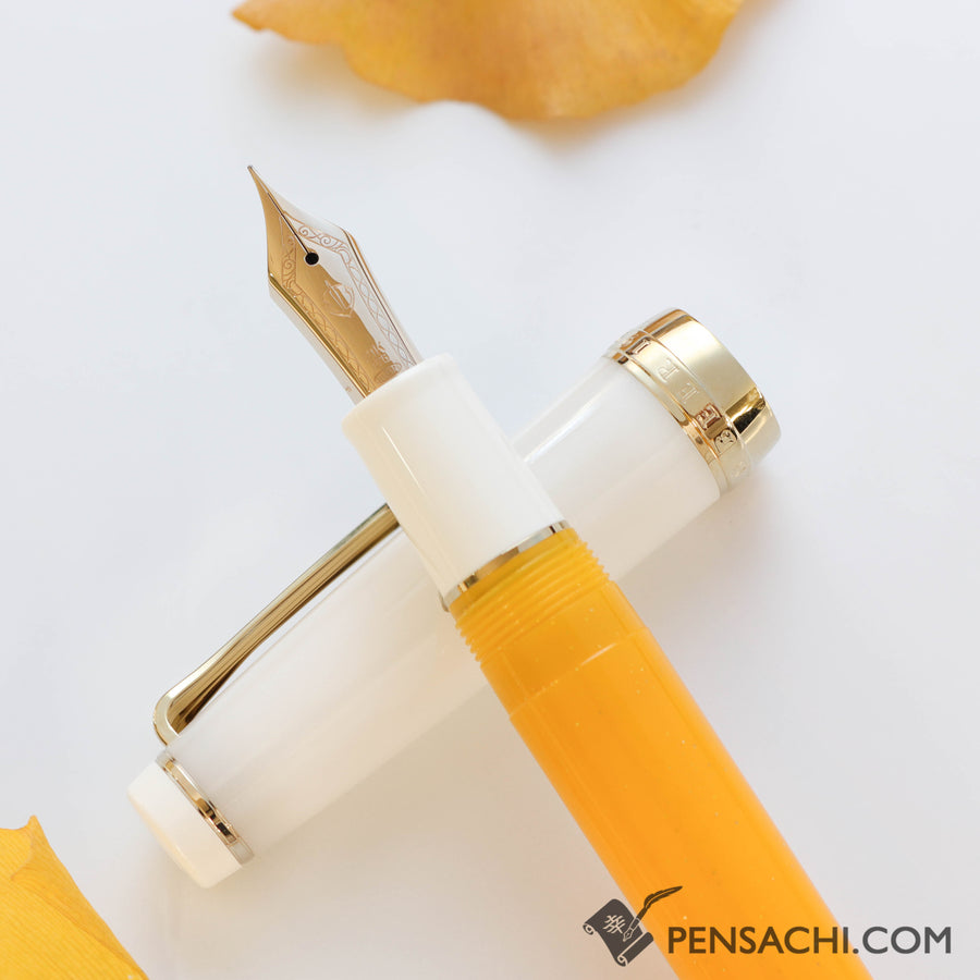 SAILOR Limited Edition Pro Gear Classic Fountain Pen - Mojiko Beer Weizen - PenSachi Japanese Limited Fountain Pen