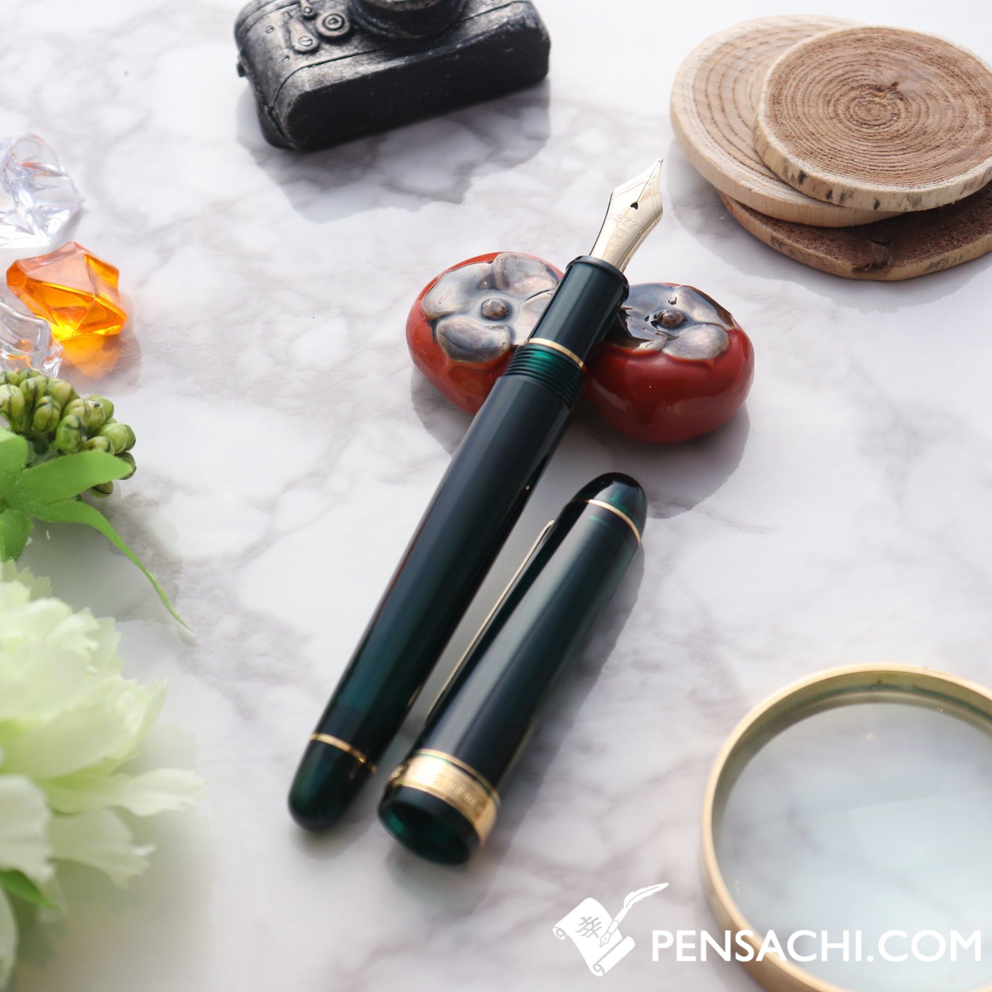 PLATINUM #3776 CENTURY Laurel-Green 万年筆 PLATINUM #3776 Century Fountain Pen - Laurel Green– PenSachi