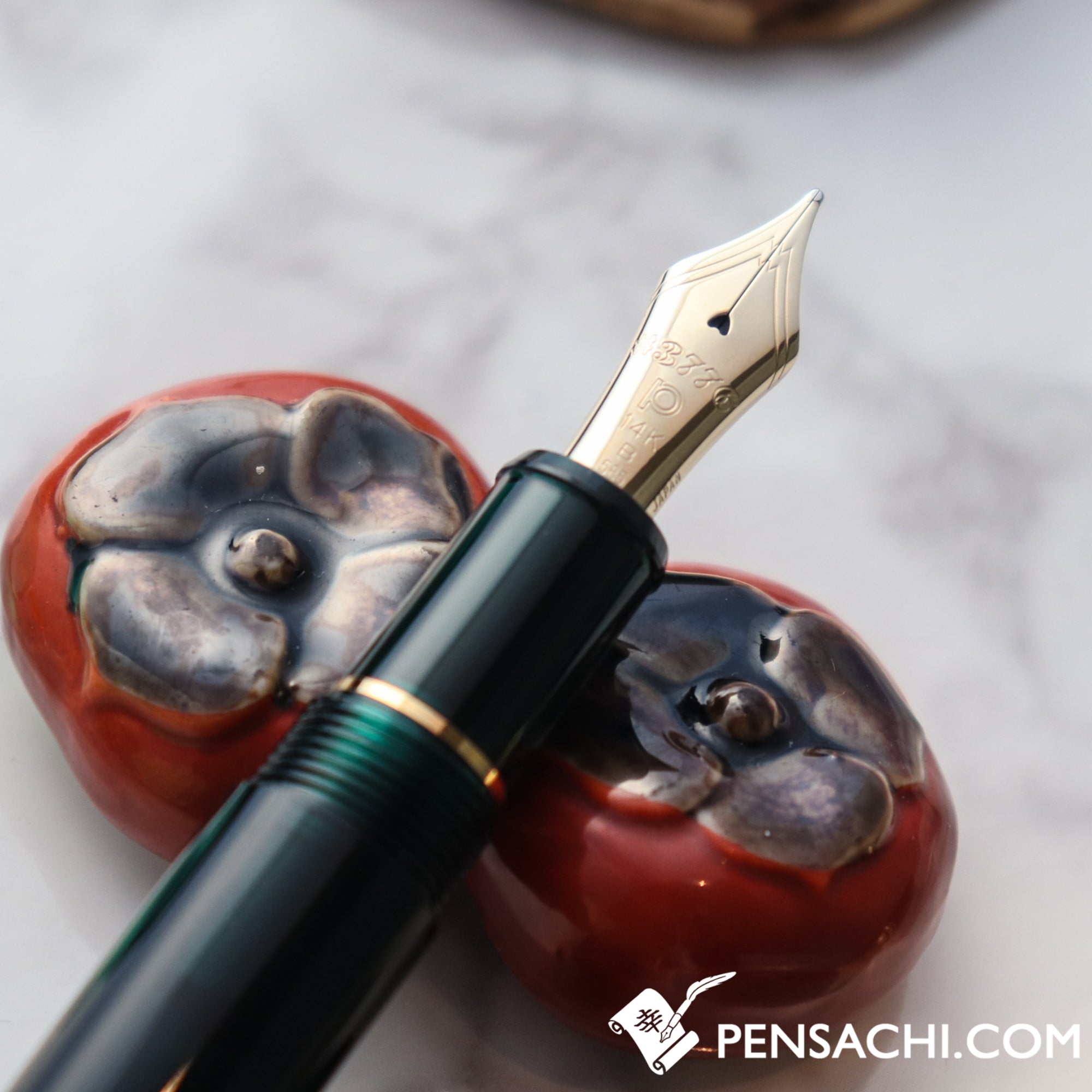 PLATINUM #3776 Century Fountain Pen - Laurel Green | PenSachi