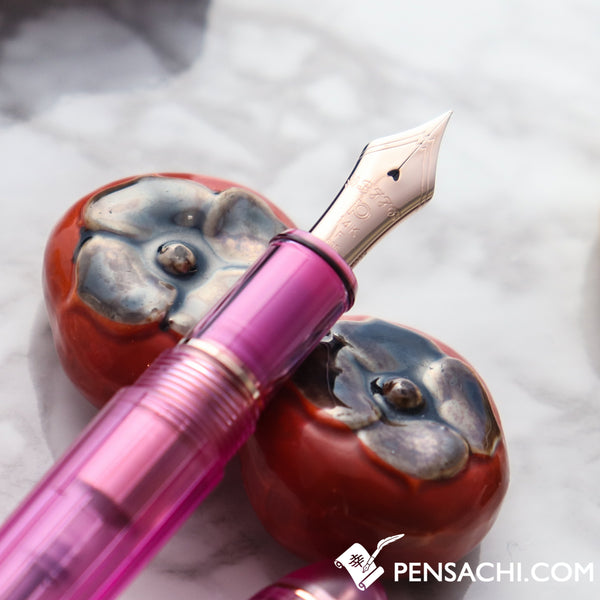 PLATINUM #3776 Century Nice Fountain Pen - Lilas | PenSachi