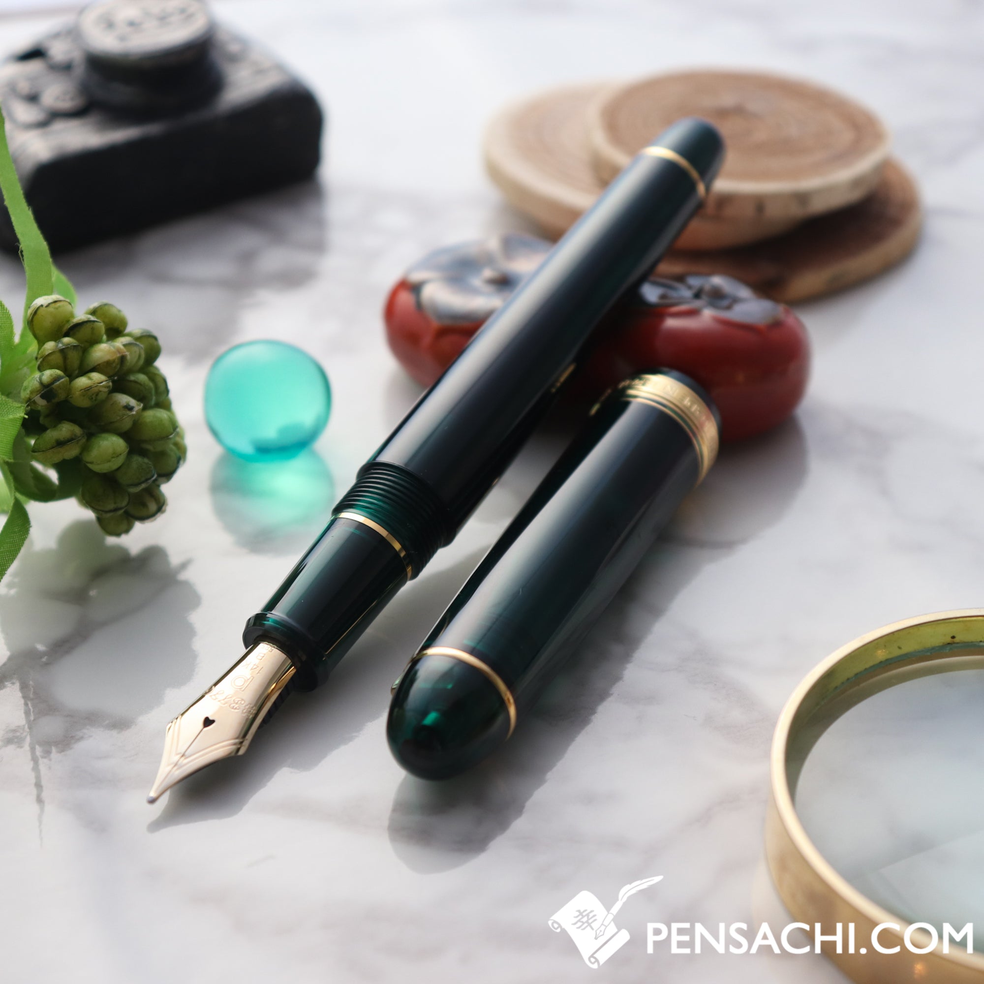PLATINUM #3776 Century Fountain Pen - Laurel Green | PenSachi