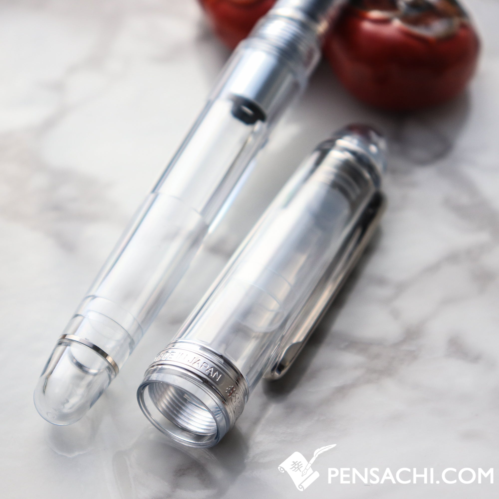 PLATINUM #3776 Century Fuji Five Lakes Fountain Pen - Oshino