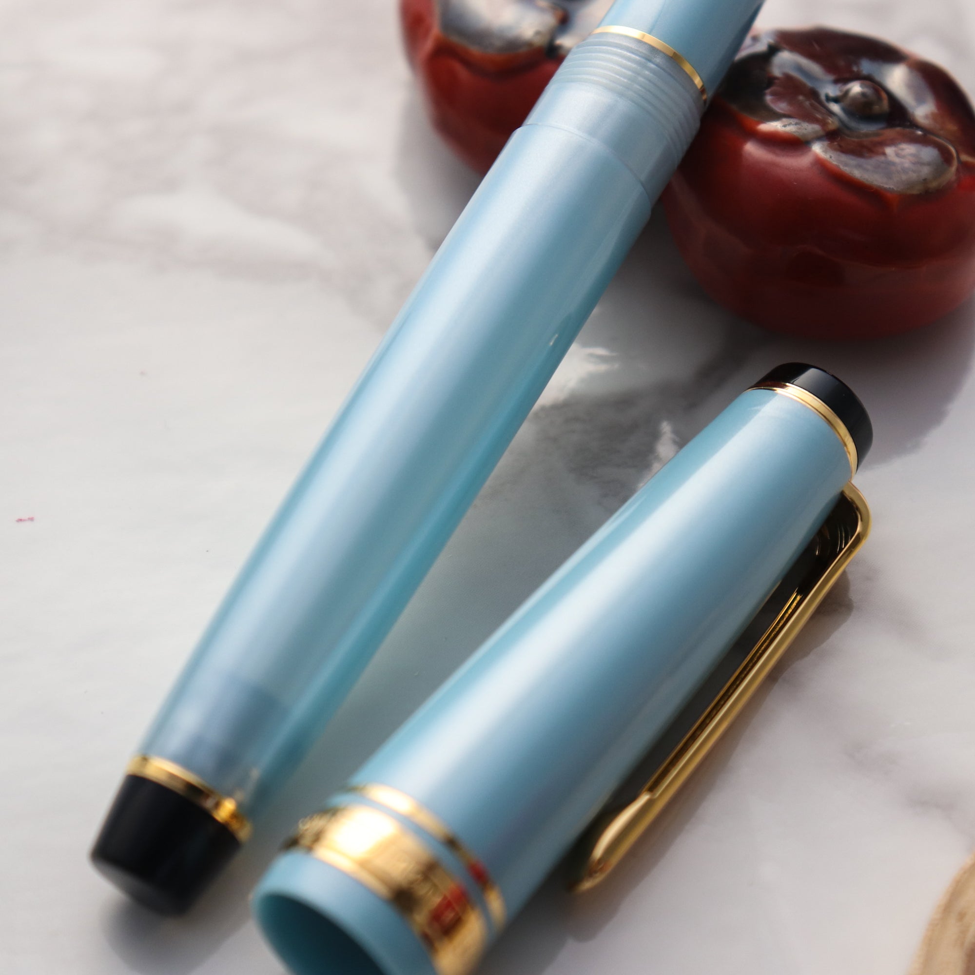 Writech Fountain Pen Pluma Estilográfica Sailor Professional Gear