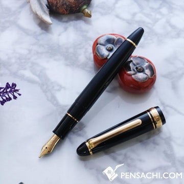 SAILOR 1911 Standard (Mid size) 21 Karat Gold Fountain Pen - Black - PenSachi Japanese Limited Fountain Pen