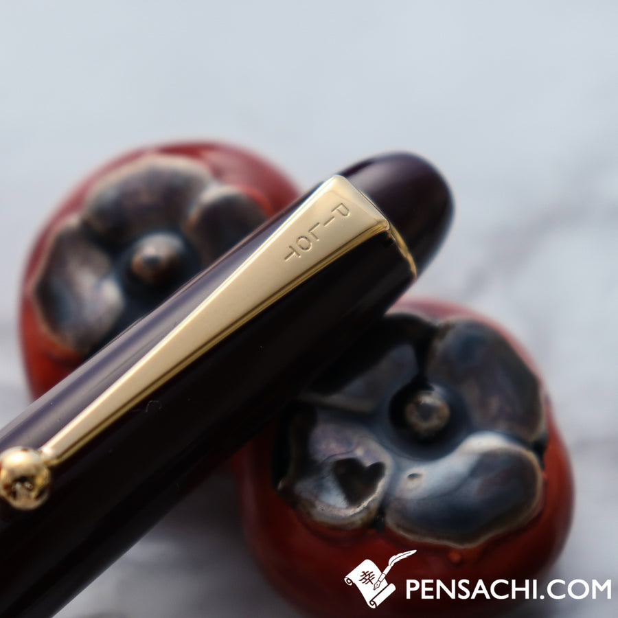 PILOT Custom 74 Fountain Pen - Deep Red - PenSachi Japanese Limited Fountain Pen