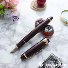 PILOT Custom 743 Fountain Pen - Deep Red - PenSachi Japanese Limited Fountain Pen
