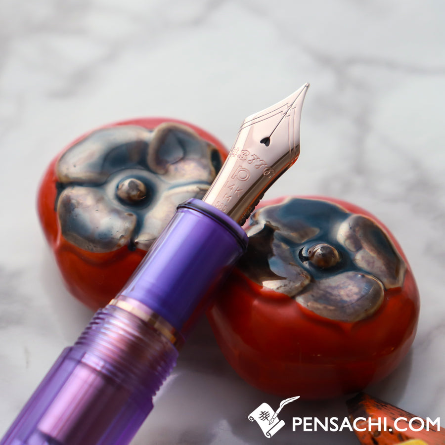 PLATINUM #3776 Century Nice Fountain Pen - Lavender - PenSachi Japanese Limited Fountain Pen