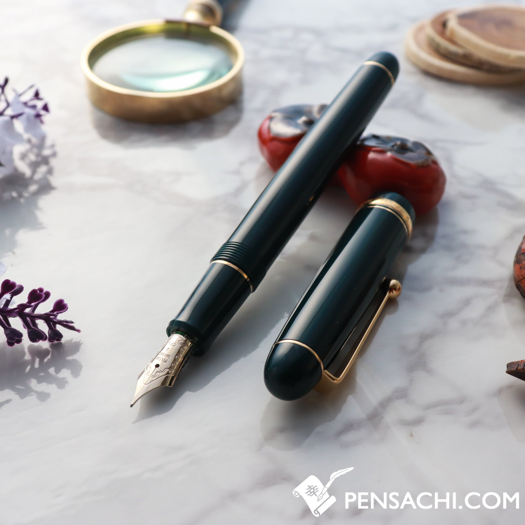 Pilot Custom 74 Fountain Pens– PenSachi