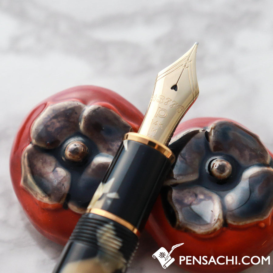 PLATINUM #3776 Century Celluloid Fountain Pen - Ishigaki Calico - PenSachi Japanese Limited Fountain Pen