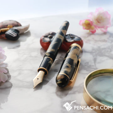 PLATINUM #3776 Century Celluloid Fountain Pen - Ishigaki Calico - PenSachi Japanese Limited Fountain Pen