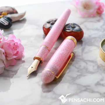 PLATINUM #3776 Century Celluloid Fountain Pen - Sakura - PenSachi Japanese Limited Fountain Pen