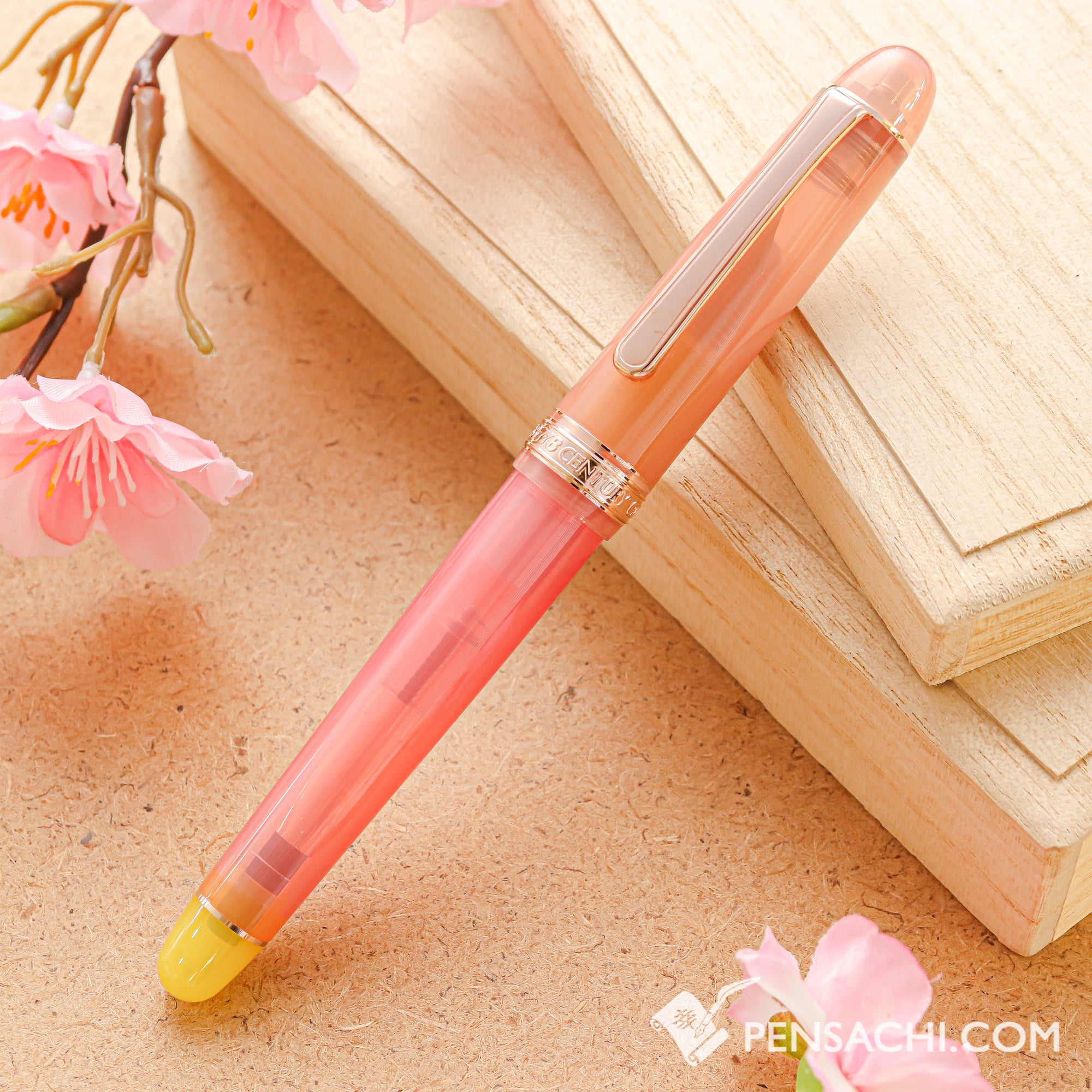 PLATINUM #3776 Limited Edition Fountain Pen - Apricot Peach