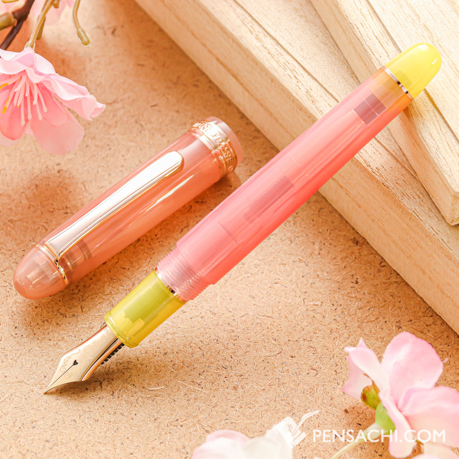 PLATINUM #3776 Limited Edition Fountain Pen - Apricot Peach Tea - PenSachi Japanese Limited Fountain Pen