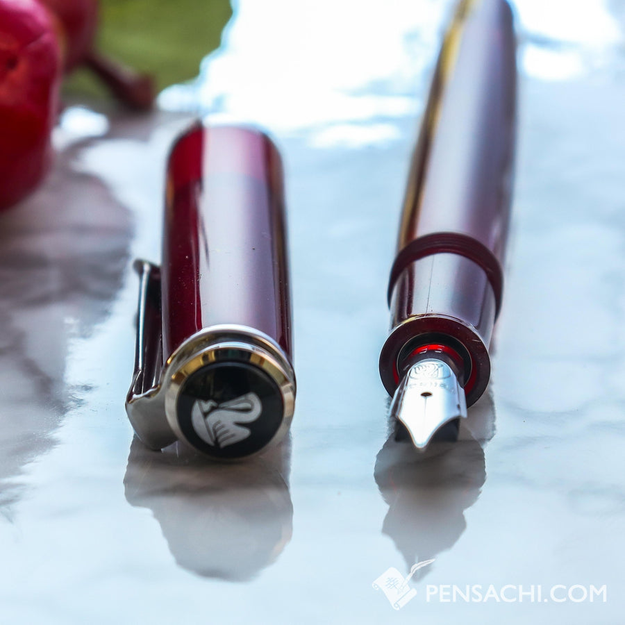 PELIKAN Special Edition Classic M205 Fountain Pen - Star Ruby - PenSachi Japanese Limited Fountain Pen