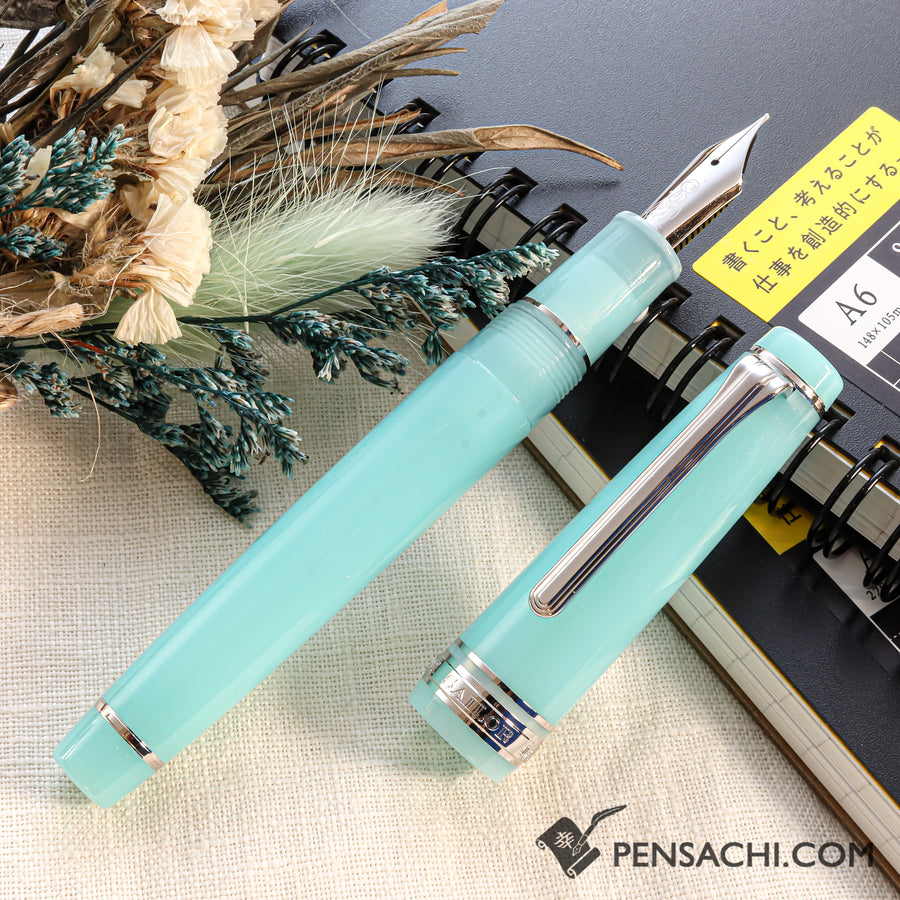 SAILOR Limited Edition Pro Gear Fountain Pen - Jellyfish Aquarium - PenSachi Japanese Limited Fountain Pen
