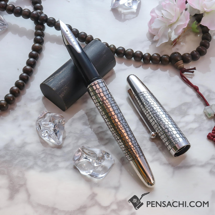 PILOT Silvern Sterling Silver Fountain Pen - Pavement - PenSachi Japanese Limited Fountain Pen