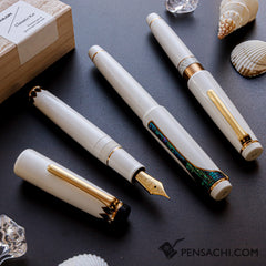SAILOR Pro Gear Classic Ko Makie Fountain Pen -  Set - PenSachi Japanese Limited Fountain Pen